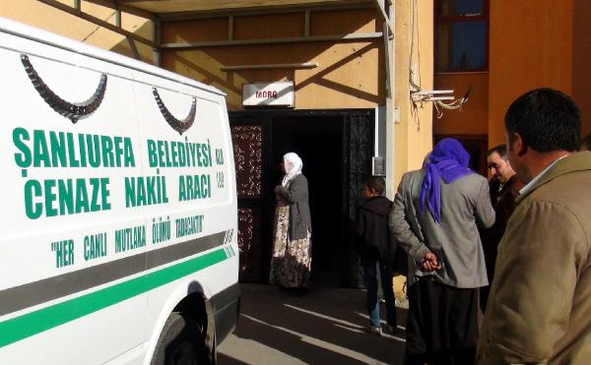 Ceylanpınar\'da Köpeğe Çarpmamak İçin Yaptığı Kazada Öldü