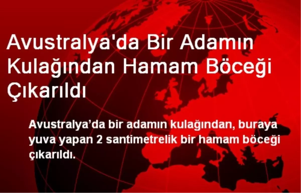 Avustralya\'da Bir Adamın Kulağından Hamam Böceği Çıkarıldı