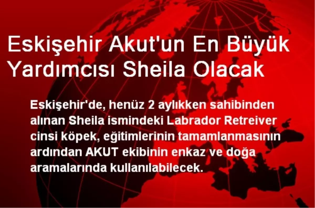 Eskişehir Akut\'un En Büyük Yardımcısı Sheila Olacak