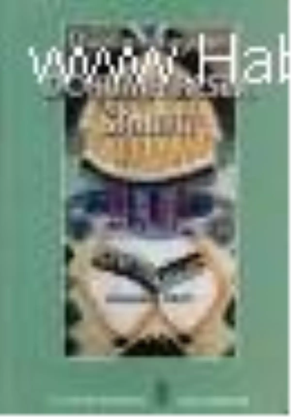 Dünden Bugüne Dokuma Resim Sanatı Kitabı