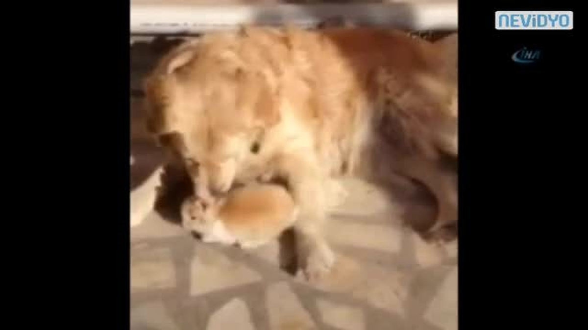 Önce Kıskandı Ardından Annelik Yaptı