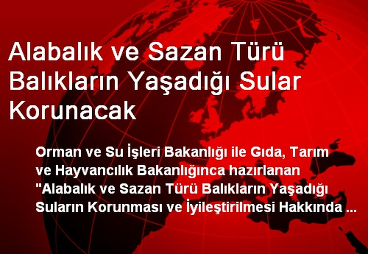 Alabalık ve Sazan Türü Balıkların Yaşadığı Sular Korunacak