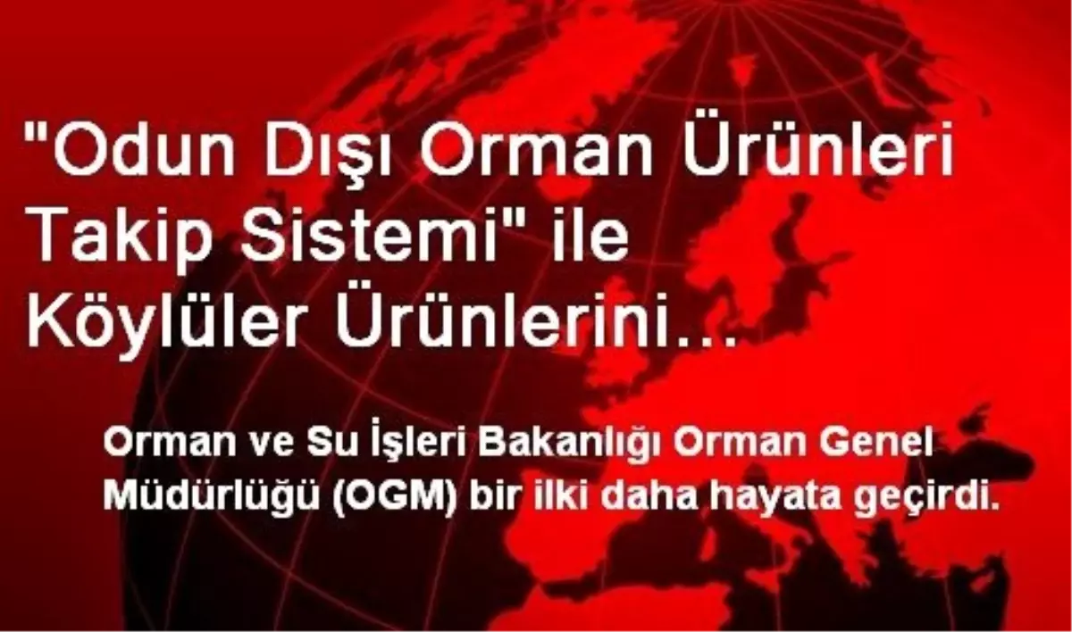 "Odun Dışı Orman Ürünleri Takip Sistemi" ile Köylüler Ürünlerini Aracılar Olmadan Alıcılara...