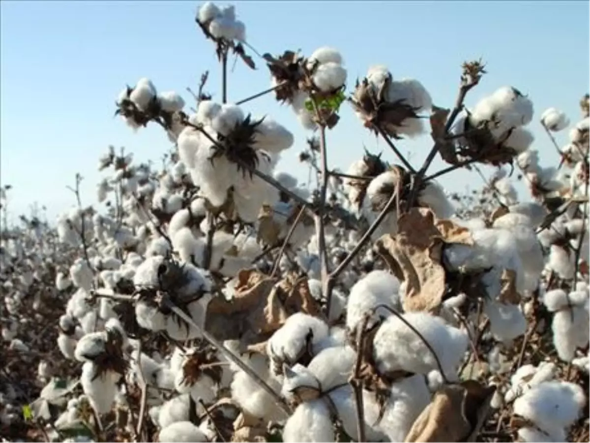 Adana Ticaret Borsası