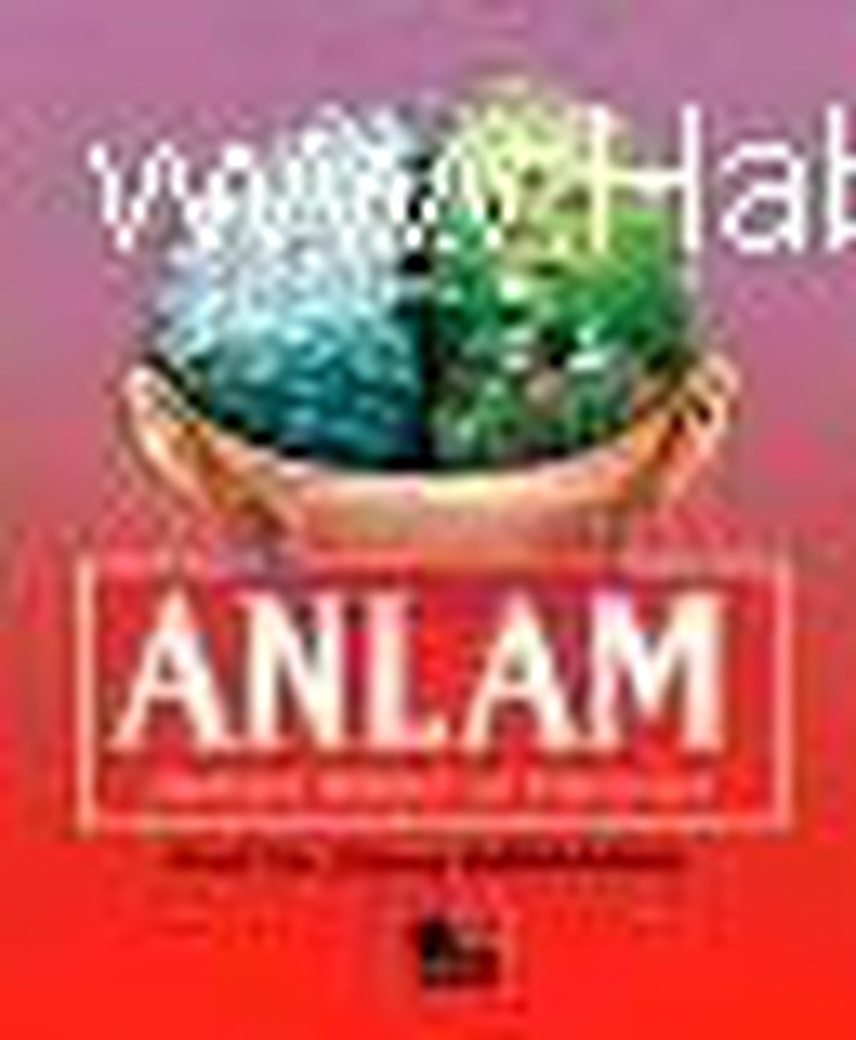 Anlam Bilimi ve İletişim Kitabı