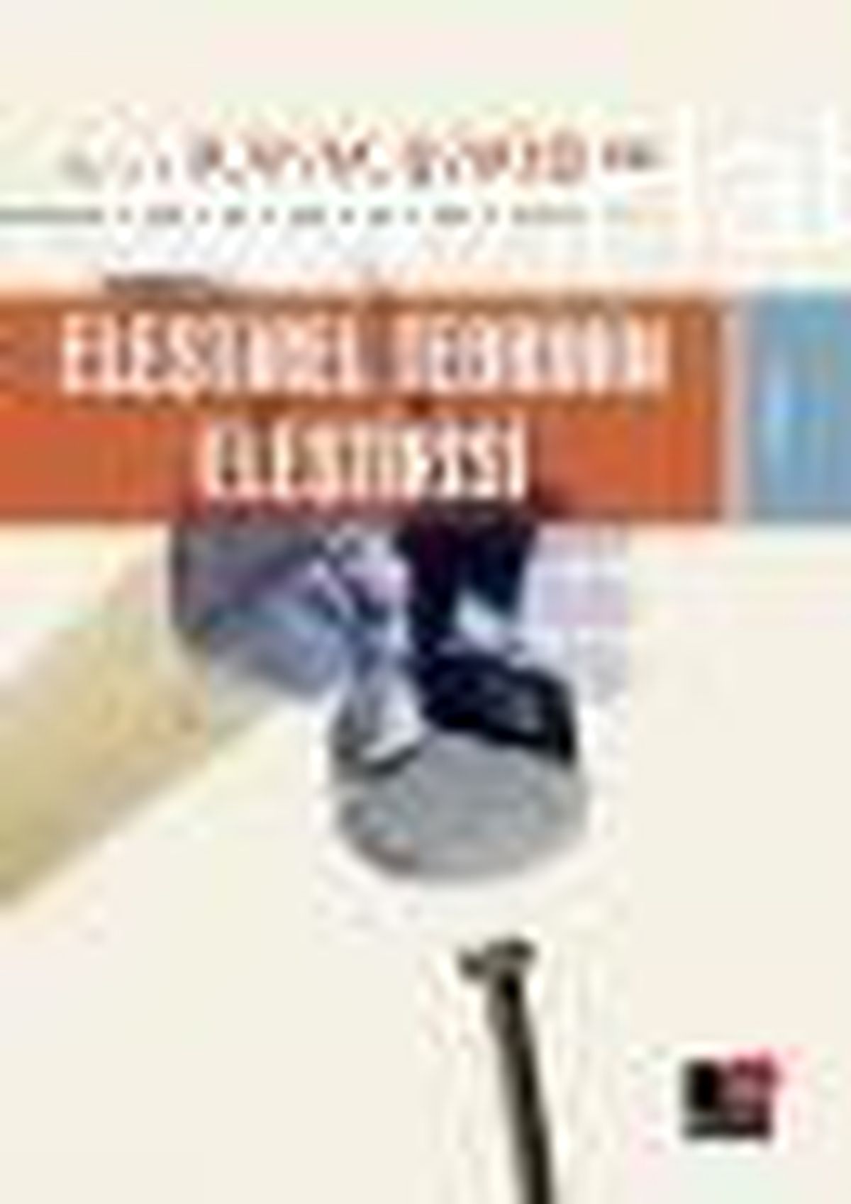 Eleştirel Teorinin Eleştirisi Kitabı