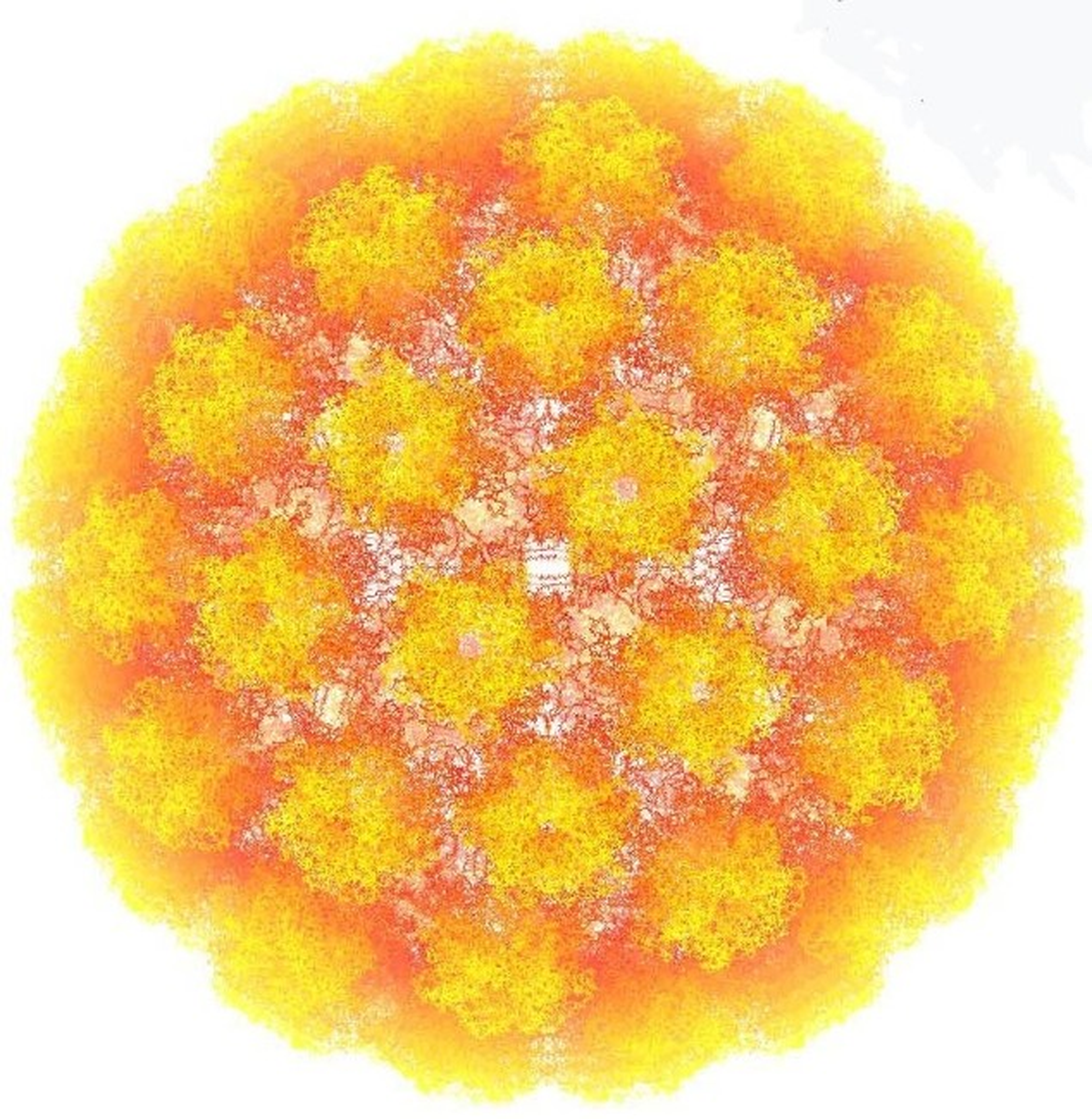 Her 4 Kişiden 3\'ünde HPV Virüsü Görülüyor