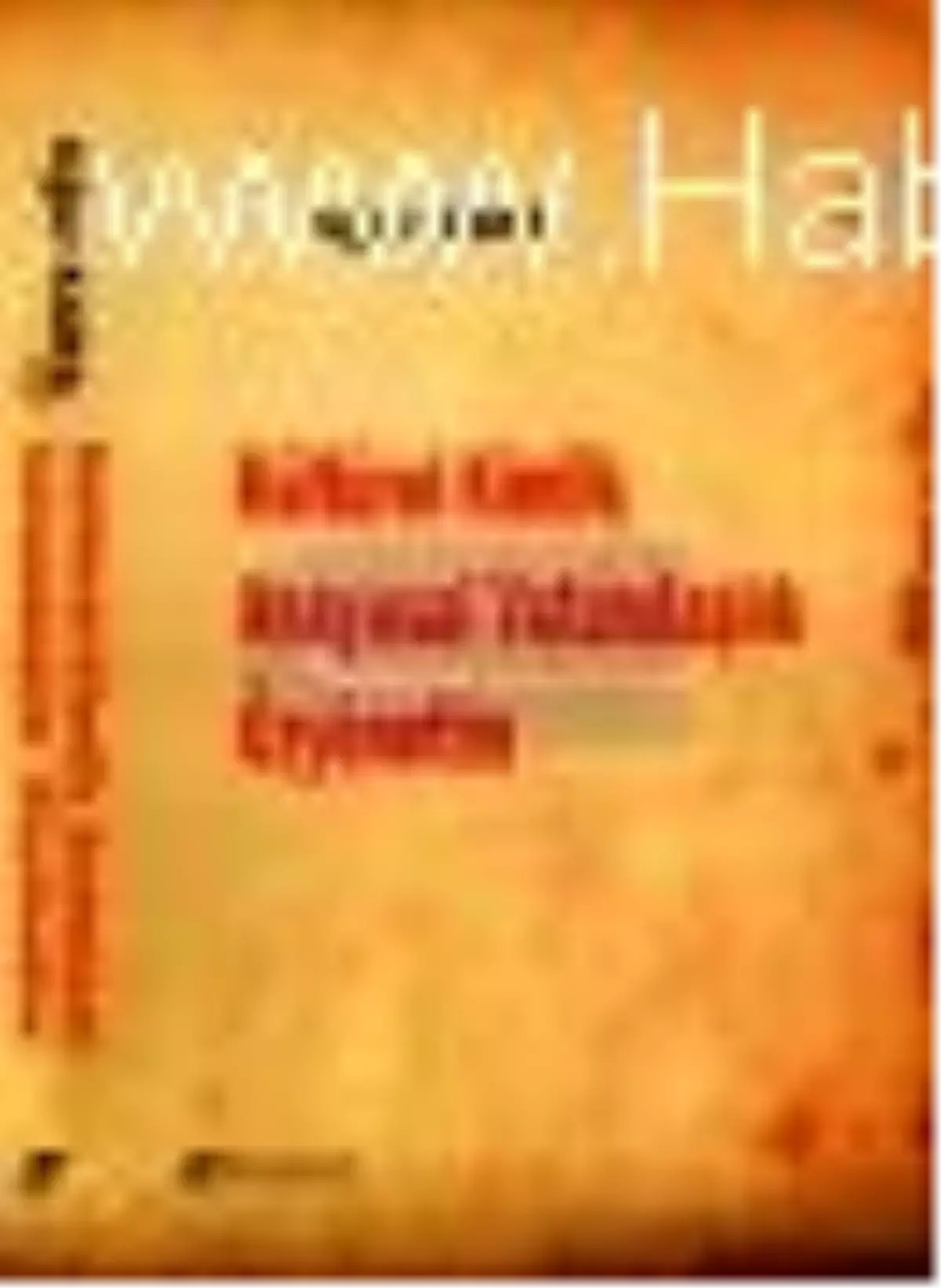 Kültürel Kimlik Anayasal Vatandaşlık Özyönetim Kitabı