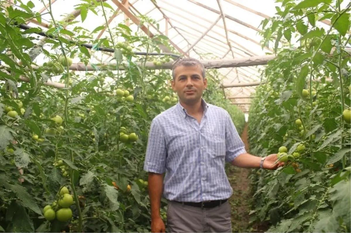 Organik Tarım Destekleme Başvuruları Başladı