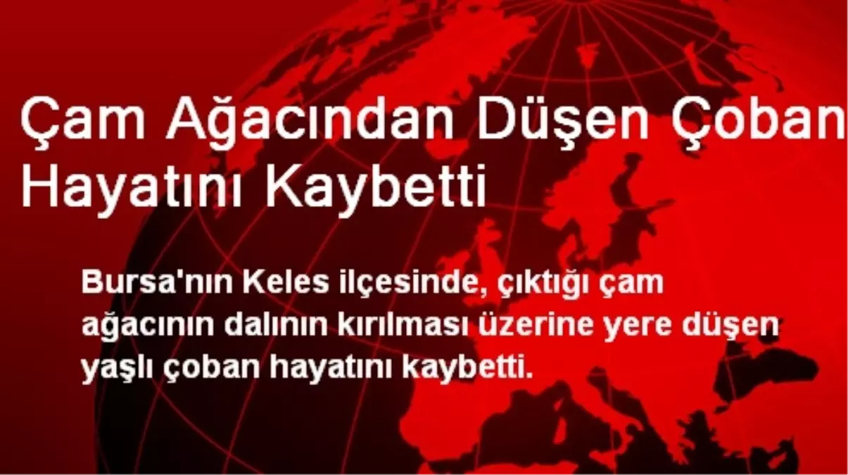 Çam Ağacından Düşen Çoban Hayatını Kaybetti