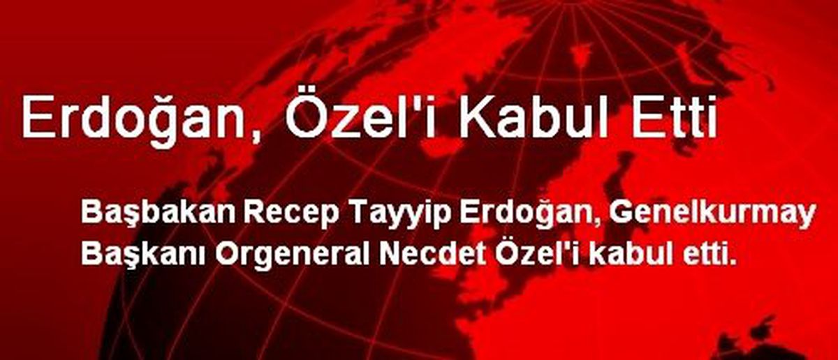 Erdoğan, Özel\'i Kabul Etti