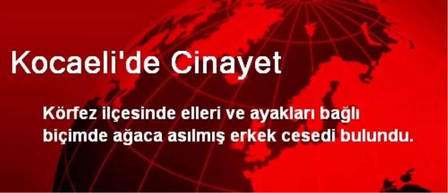 Kocaeli\'de Ağaca Asılmış Ceset Bulundu