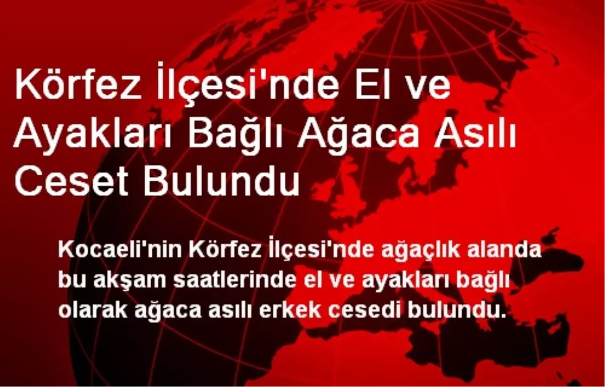 Körfez İlçesi\'nde El ve Ayakları Bağlı Ağaca Asılı Ceset Bulundu