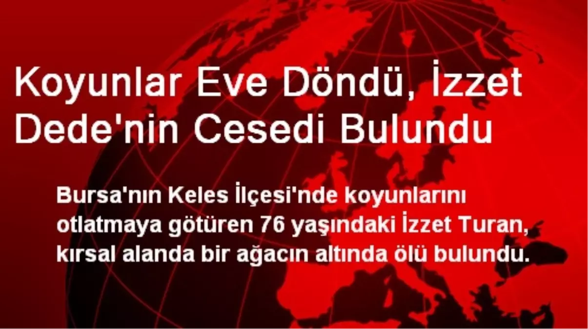 Koyunlar Eve Döndü, İzzet Dede\'nin Cesedi Bulundu