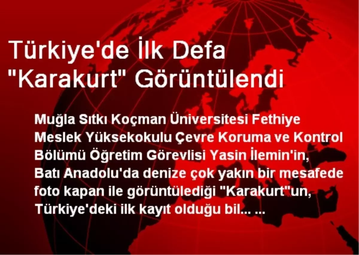 Türkiye\'de İlk Defa "Karakurt" Görüntülendi