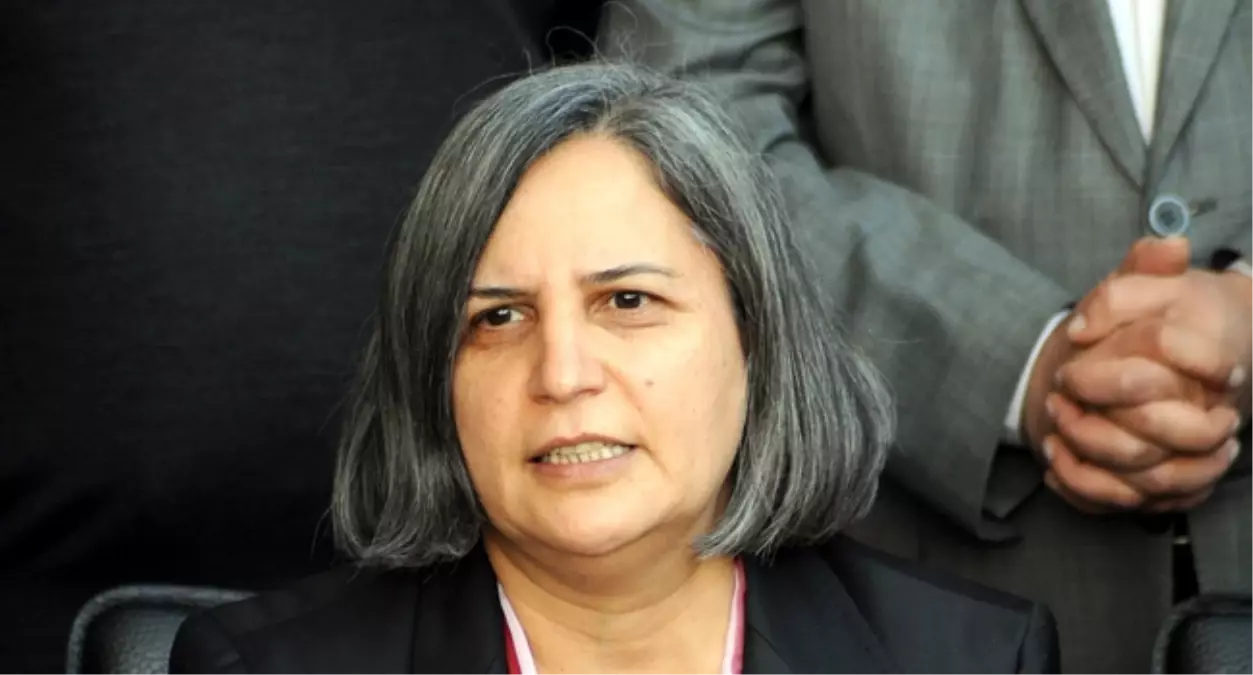 BDP Genel Başkan Yardımcısı Kışanak Diyarbakır\'da