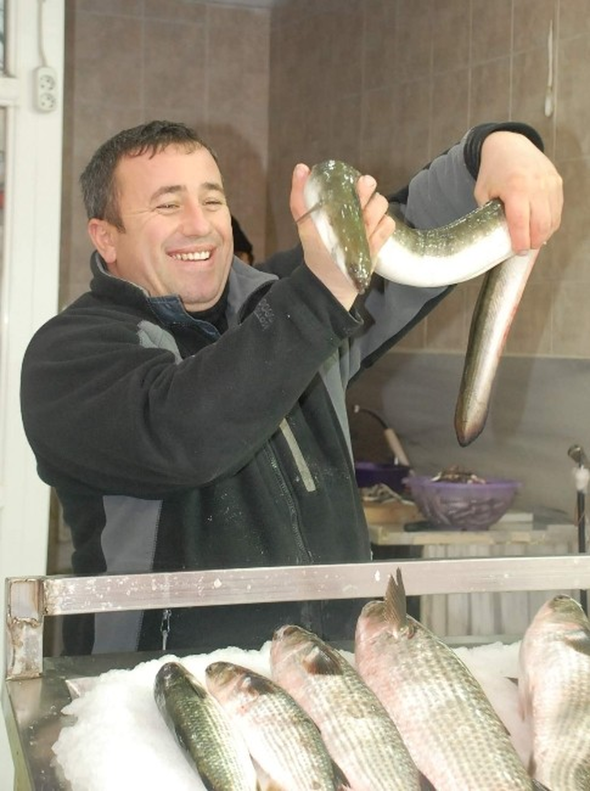 Karadeniz\'de Yılan Balığı Avlandı
