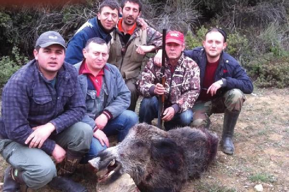 Orhangazili Avcılar 250 Kiloluk Domuz Avladı