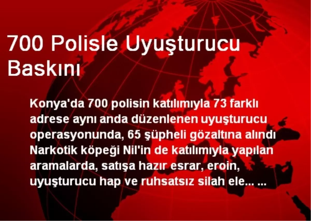 700 Polisle Uyuşturucu Baskını