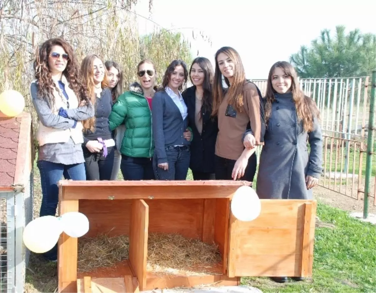 Cbü Öğrencilerinden Tavşanlara Barınak