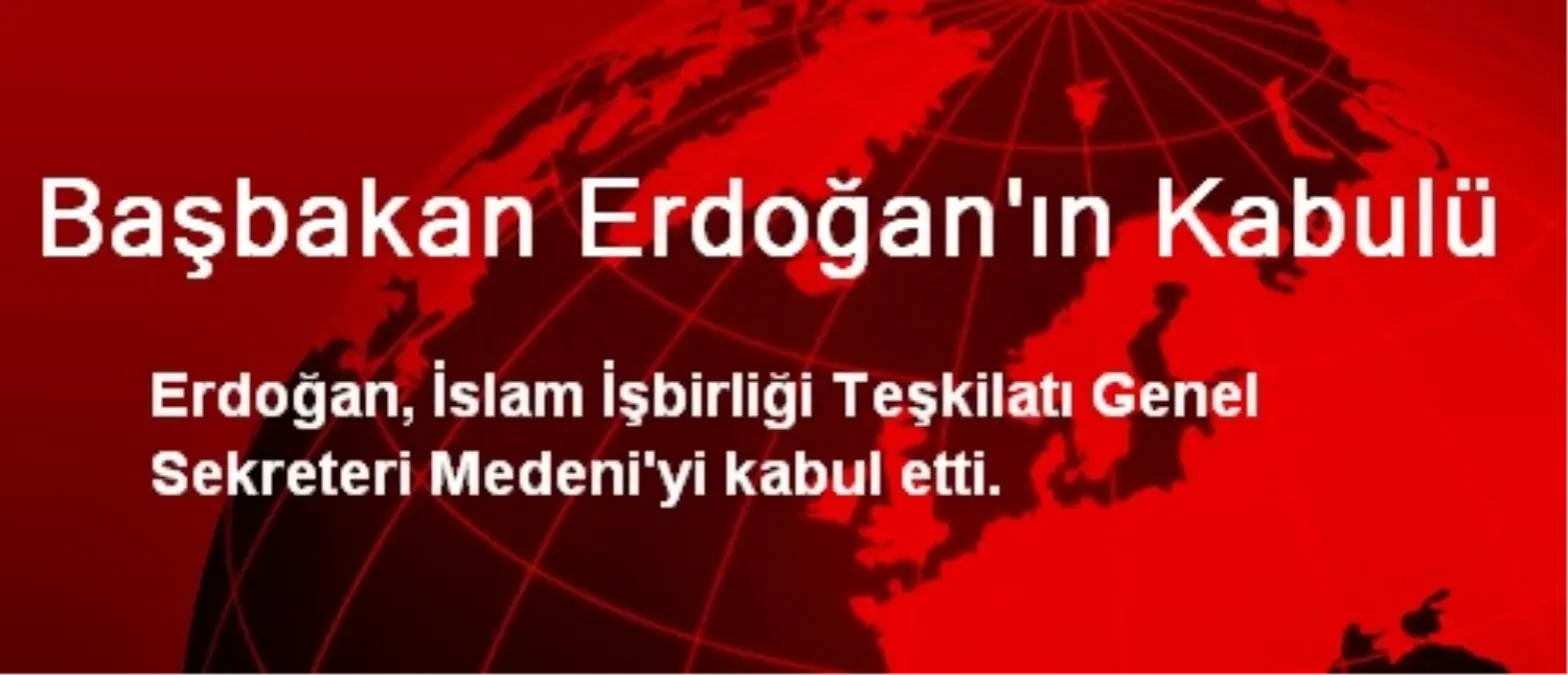 Başbakan Erdoğan\'ın Kabulü