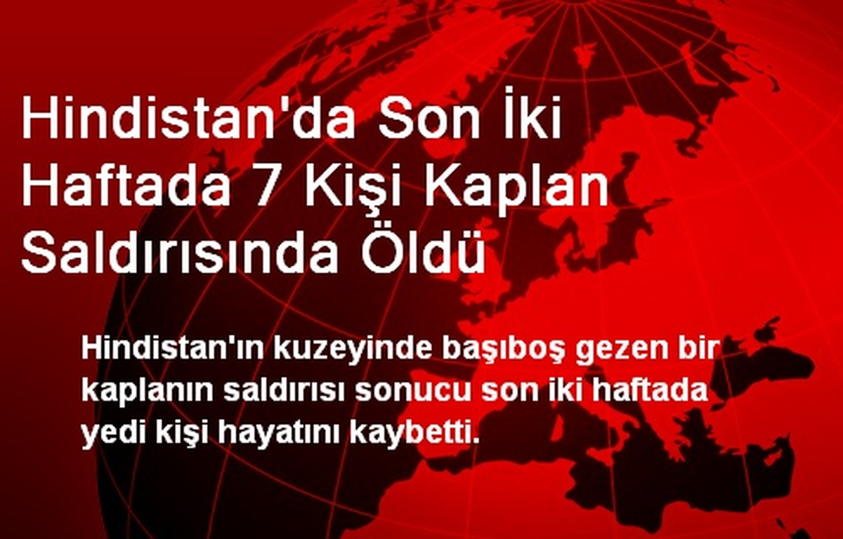 Hindistan\'da Son İki Haftada 7 Kişi Kaplan Saldırısında Öldü