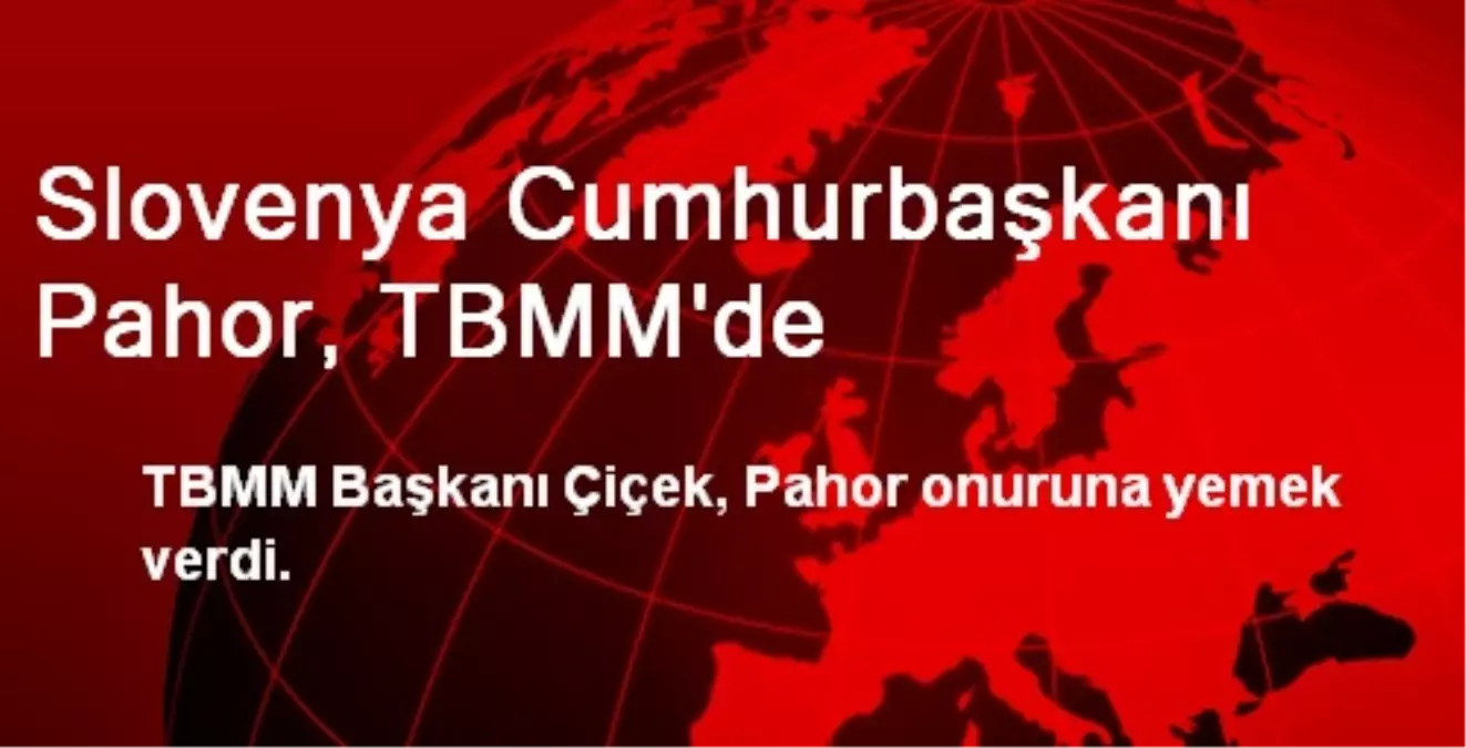 Slovenya Cumhurbaşkanı Pahor, TBMM\'de