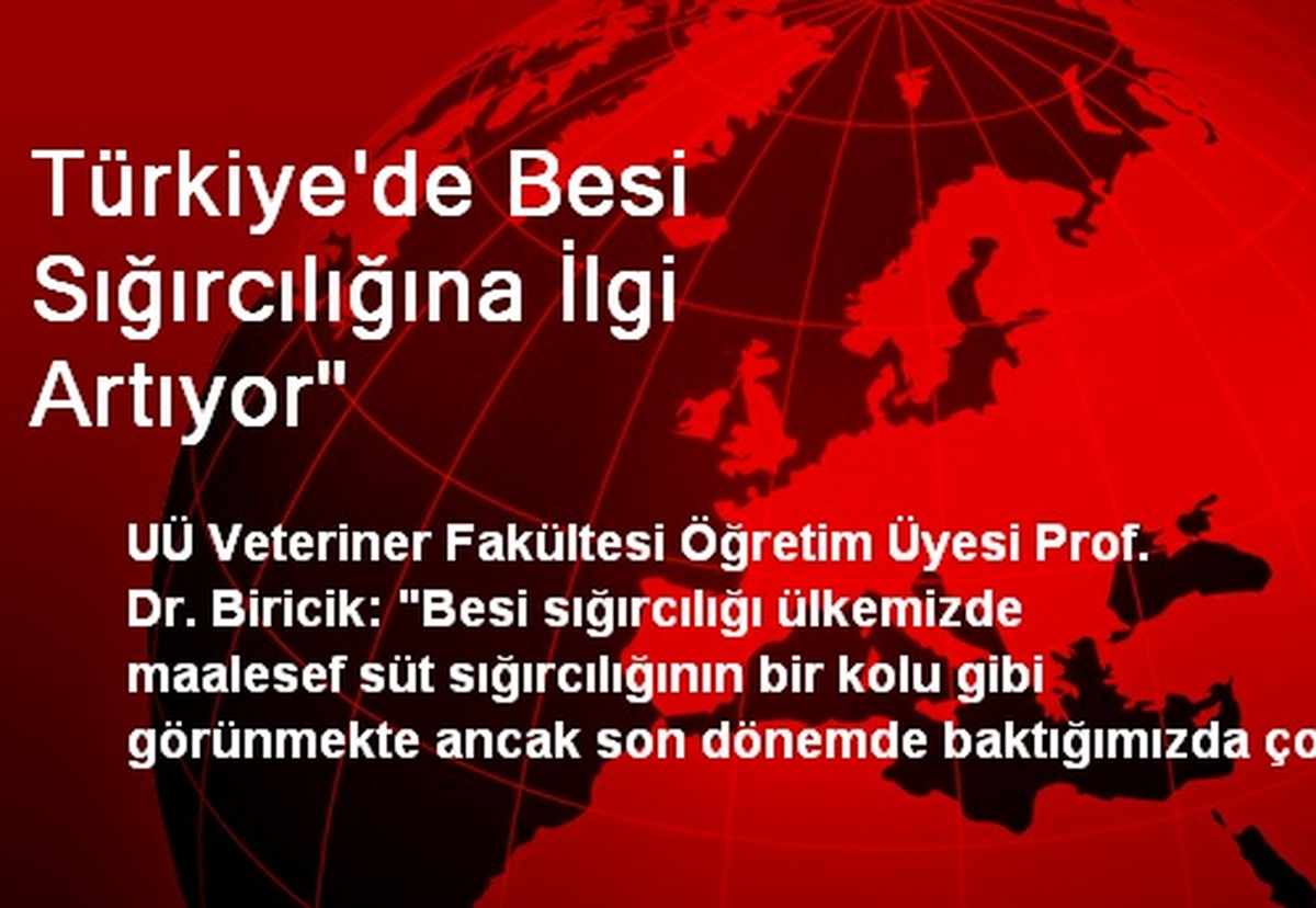 Türkiye\'de Besi Sığırcılığına İlgi Artıyor"