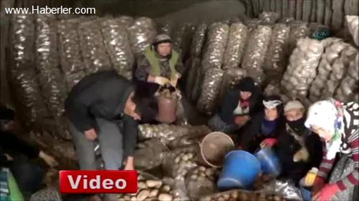Sandıklı\'da Doğal Soğuk Hava Depoları Patates ile Dolu