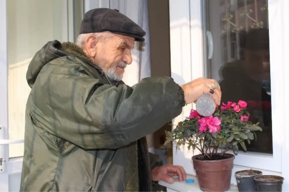 Sevdiği Kadını 53 Yıldır Bekliyor