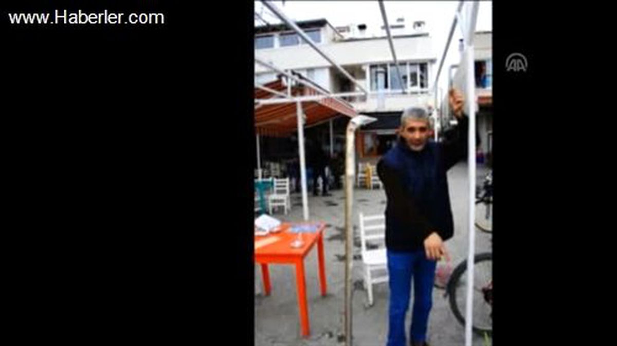 Ayvacık\'ta Balıkçının Ağına Dikenli Yılan Balığı Takıldı