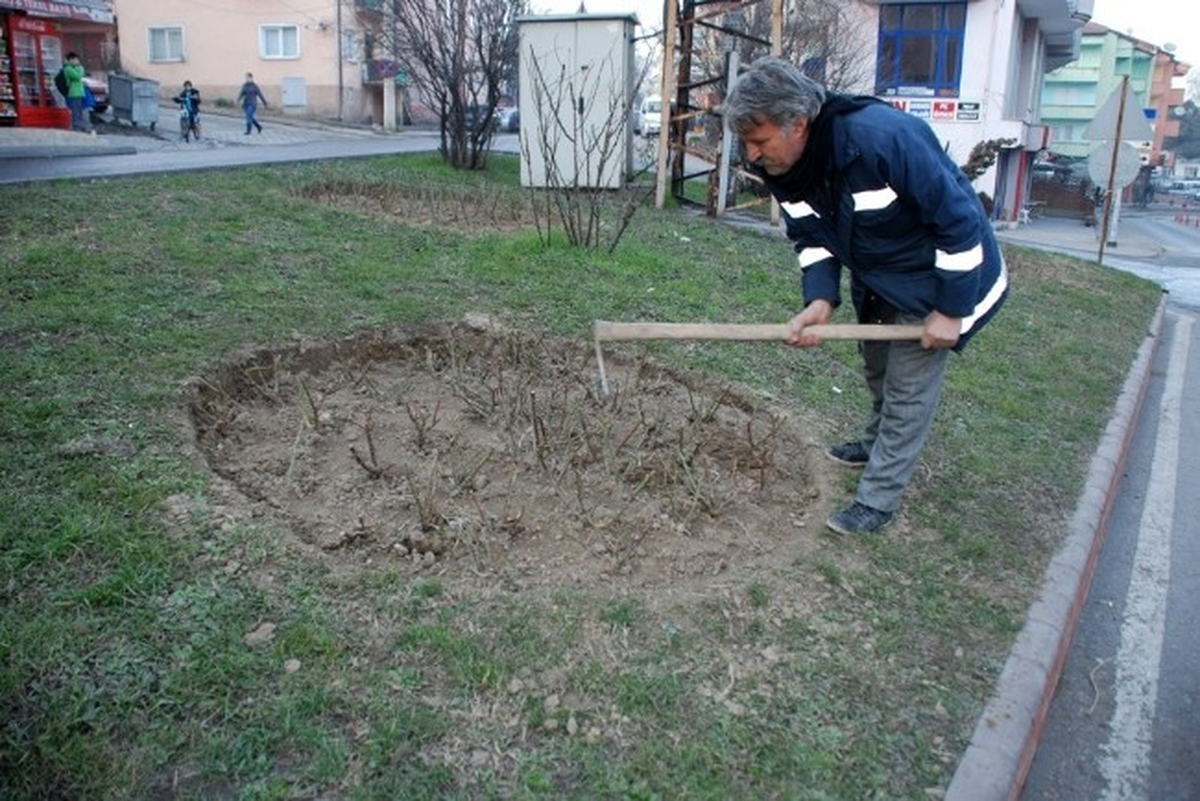 Başkan Gülşen, "Çaycuma Gül Bahçesi Olacak"