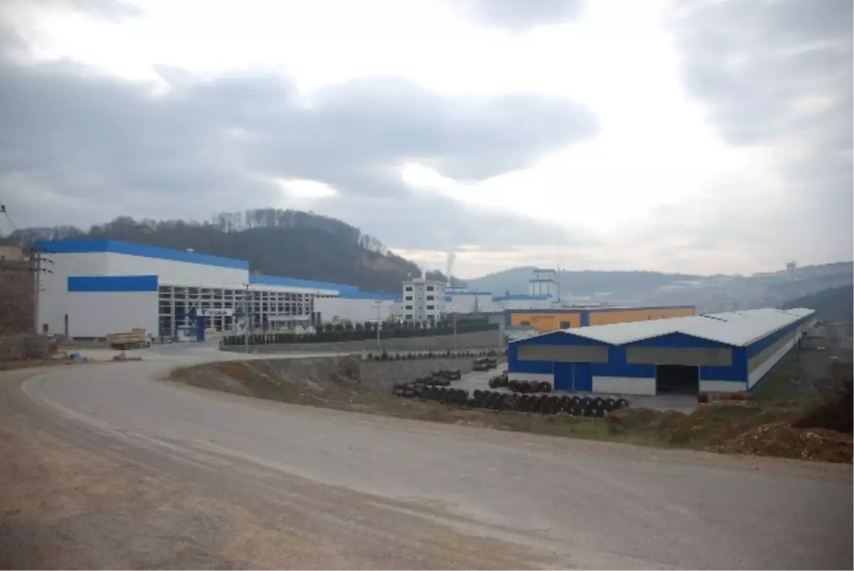 Dereye Akan Fabrika Atıkları Balıkların Ölümüne Neden Oluyor