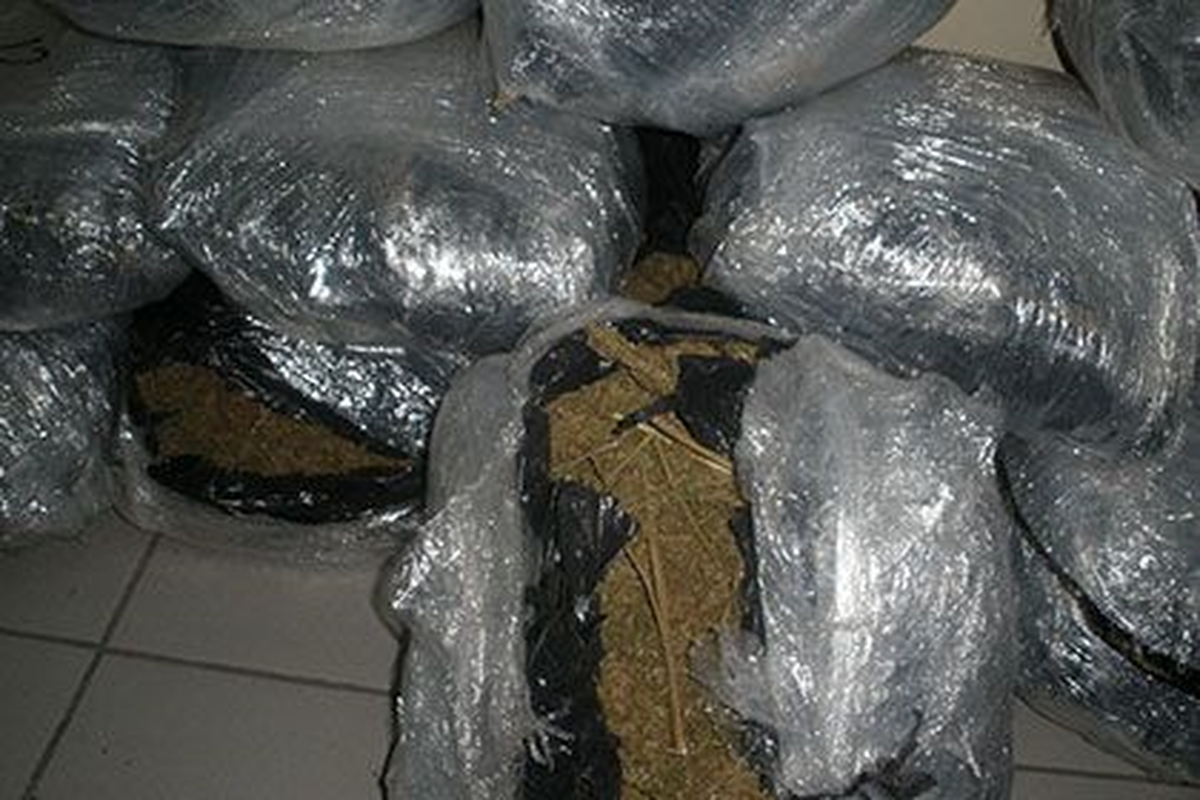 Elazığ\'da 31 Kilogram Esrar Ele Geçirildi