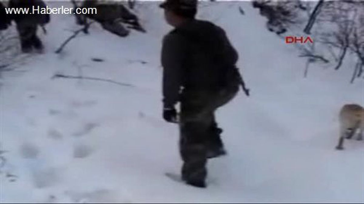 Mağarada PKK\'ya Ait Mühimmat Ele Geçirildi