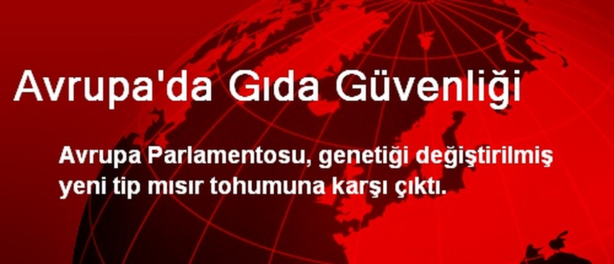 Avrupa\'da Gıda Güvenliği