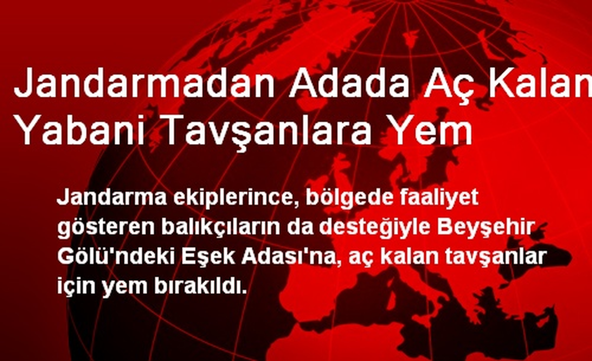 Jandarmadan Adada Aç Kalan Yabani Tavşanlara Yem