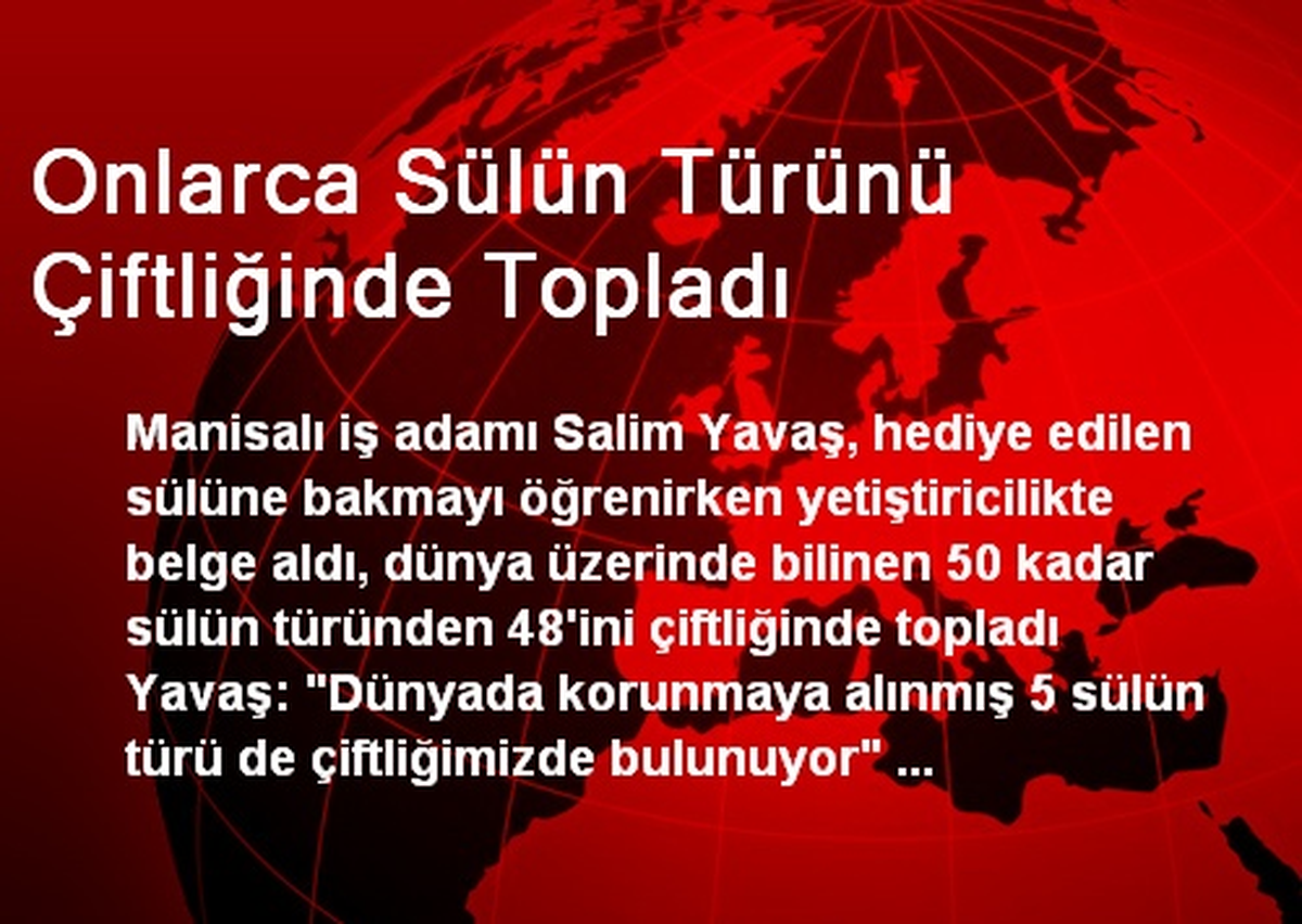 Onlarca Sülün Türünü Çiftliğinde Topladı
