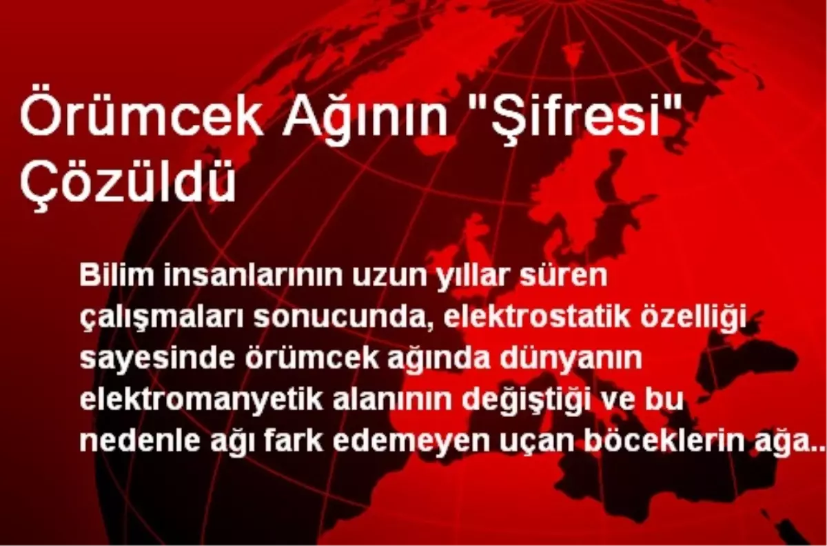 Örümcek Ağının "Şifresi" Çözüldü