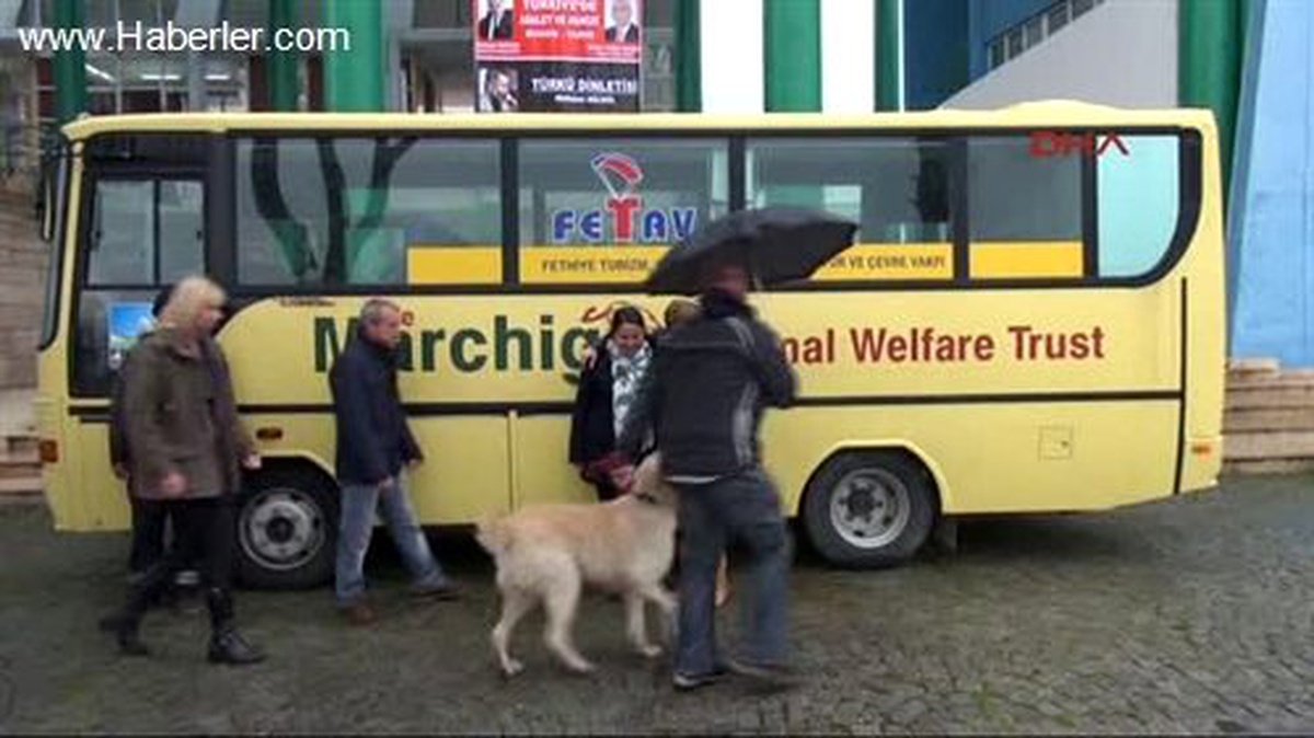 Bakanlık Mobil Klinik Yasal Değil Dedi, Hibe Para İsviçre\'ye Geri Gönderildi