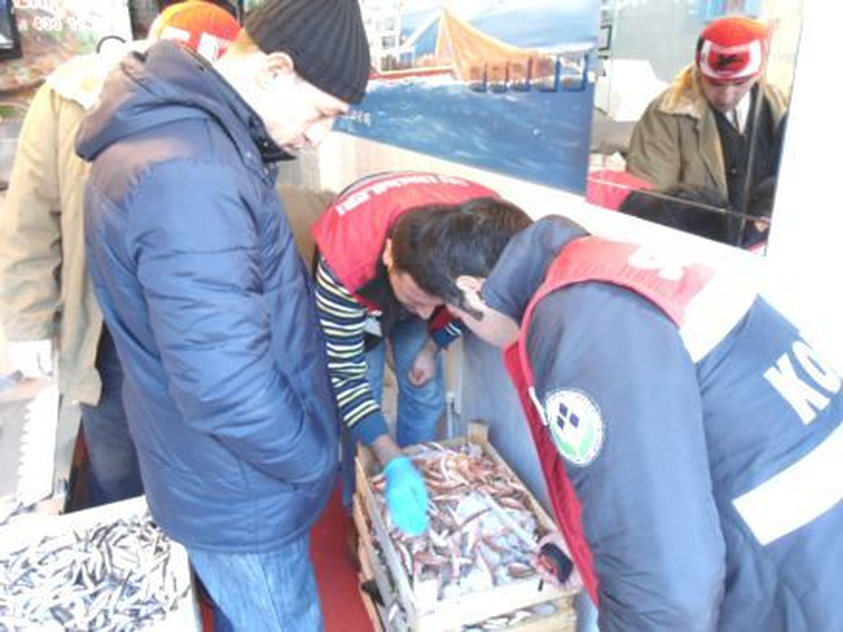 Başkentte Su Ürünleri Denetimi