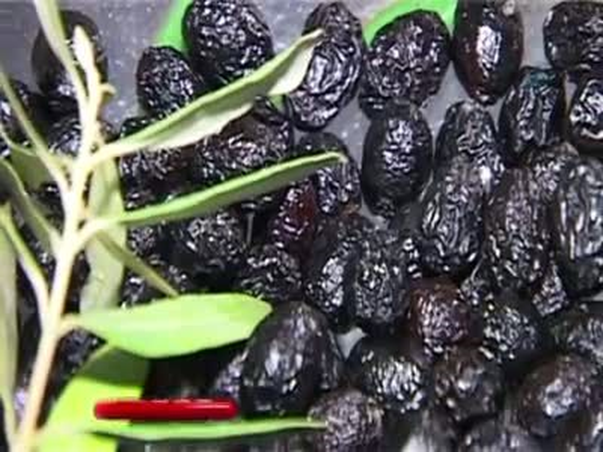 Bursa Ticaret Borsasında Ürün Fiyatları