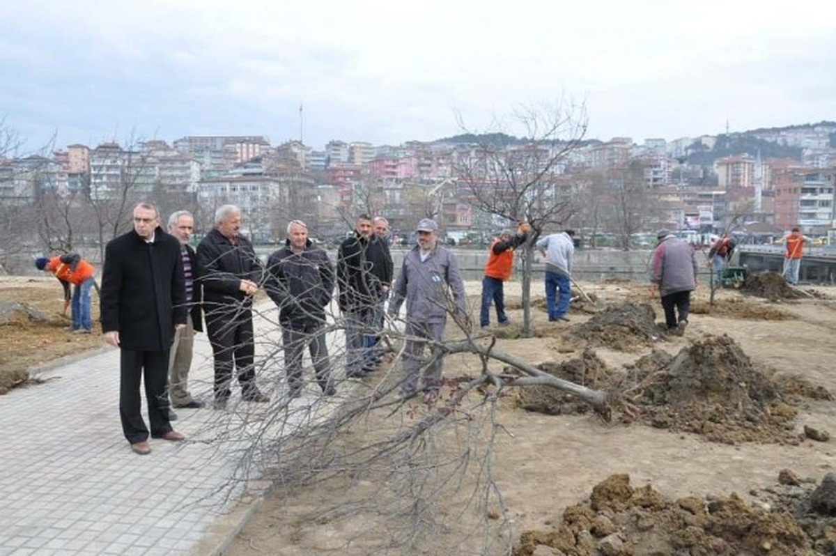 Çimenoğlu, "Alaplı\'ya Yakışan Bir Giriş ve Çevre Oluşacak"