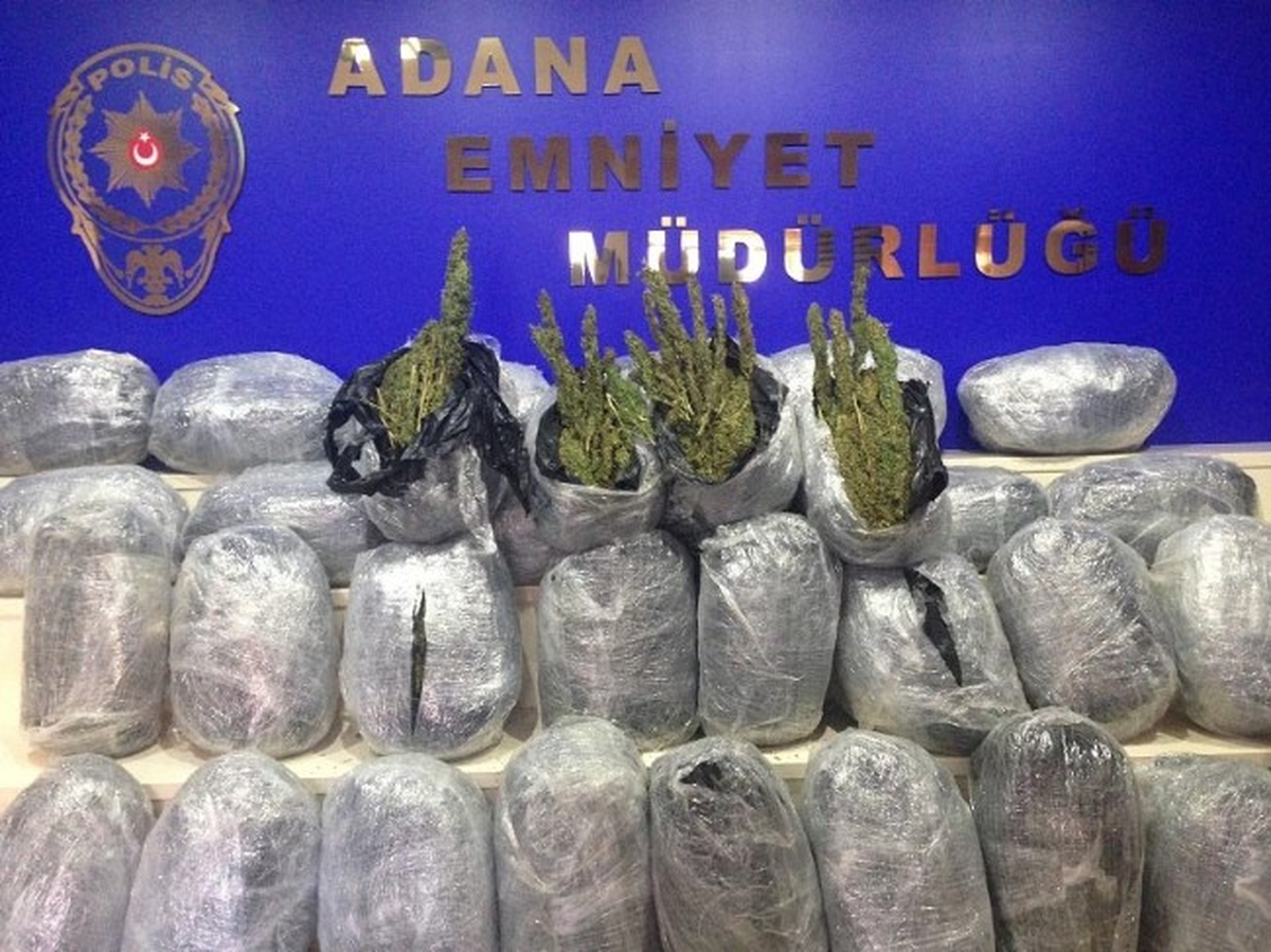 Mısır Yüklü Tırdan 673 Kilo Esrar Çıktı