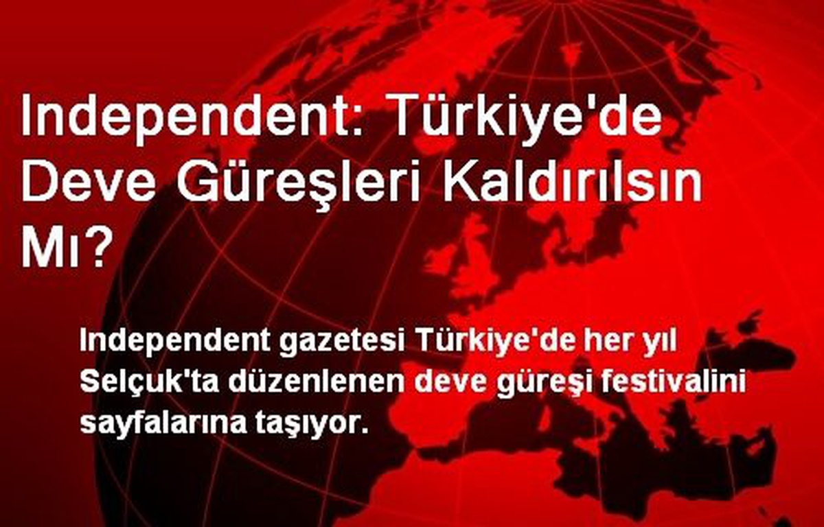 Independent: Türkiye\'de Deve Güreşleri Kaldırılsın Mı?