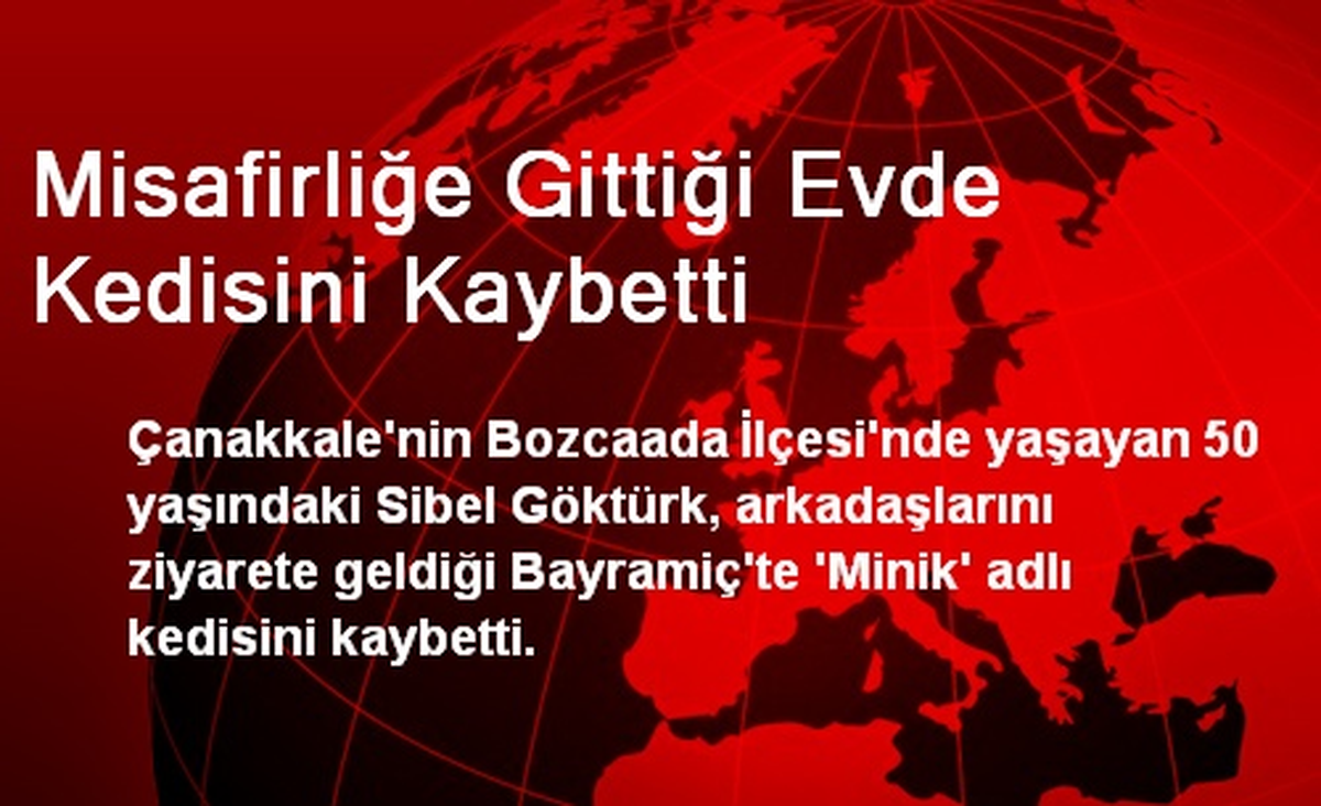 Misafirliğe Gittiği Evde Kedisini Kaybetti