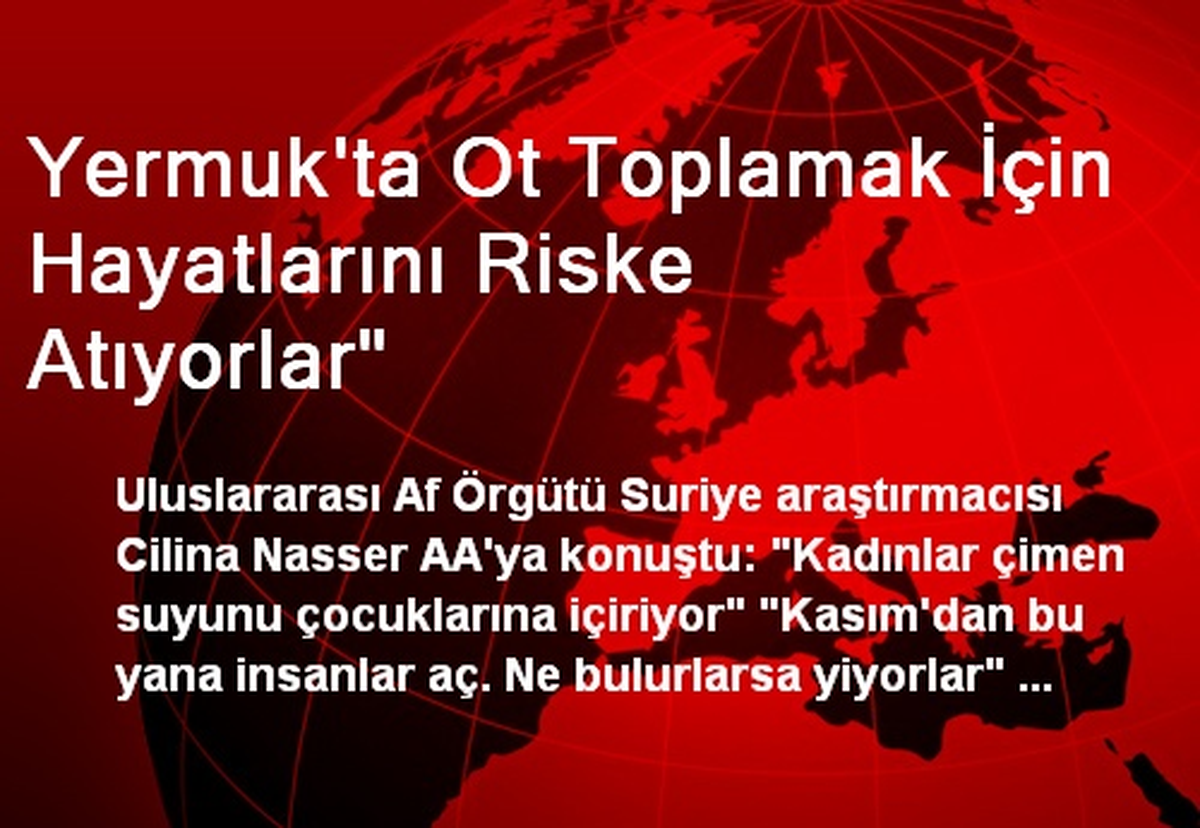 Yermuk\'ta Ot Toplamak İçin Hayatlarını Riske Atıyorlar"