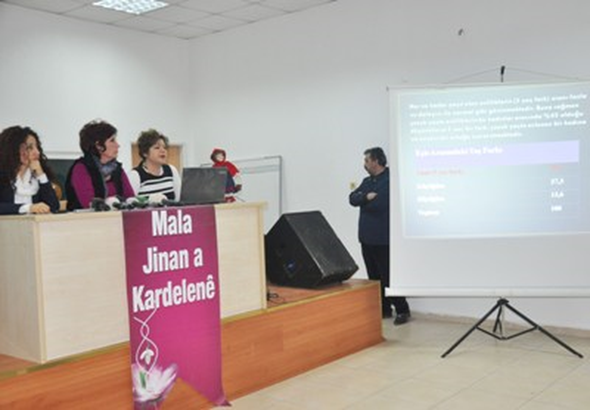 Sığınan Kadınların Yüzde 96\'sı Şiddet Mağduru
