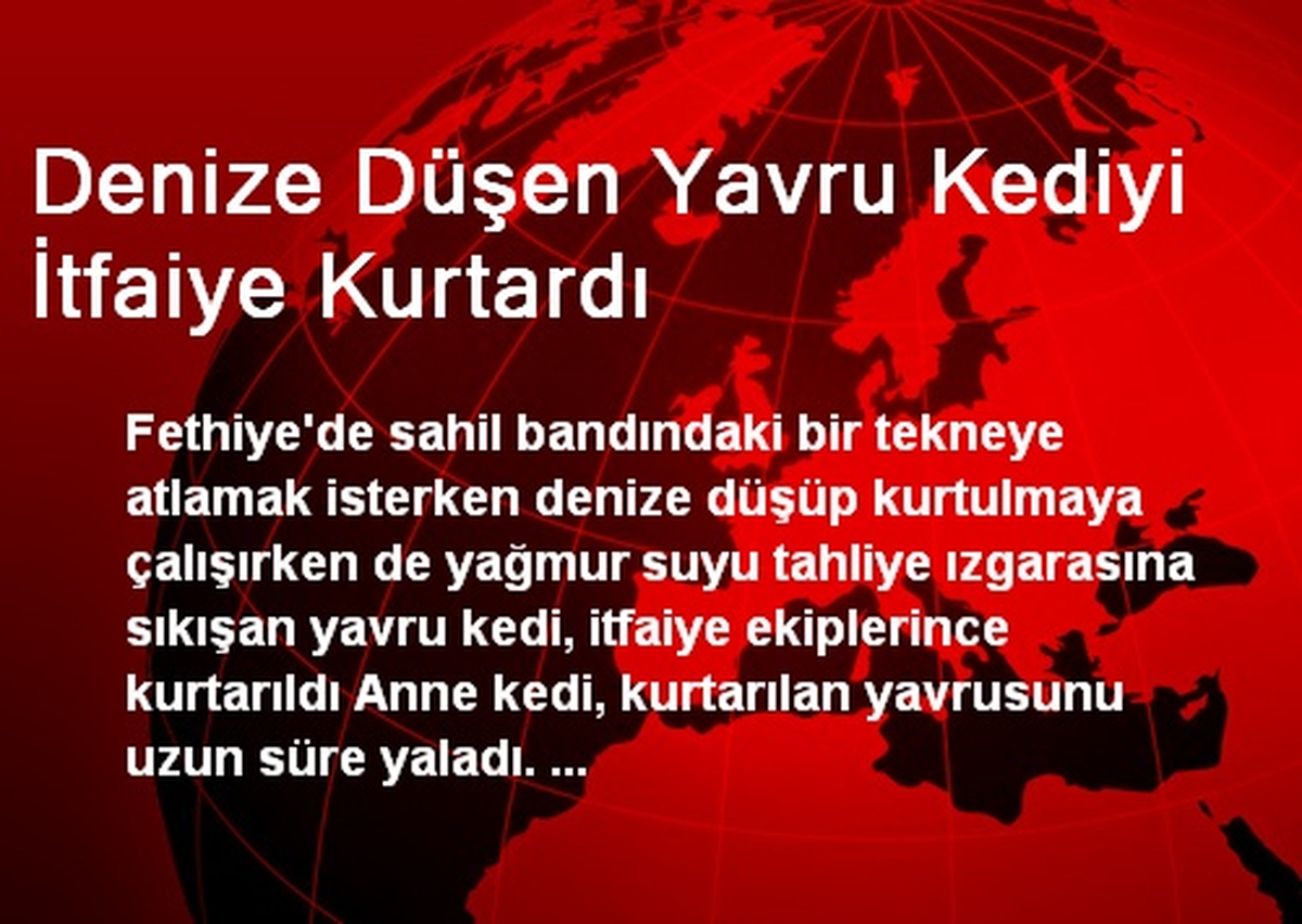 Fethiye\'de Denize Düşen Yavru Kediyi İtfaiye Kurtardı