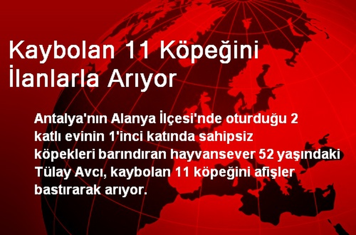 Kaybolan 11 Köpeğini İlanlarla Arıyor
